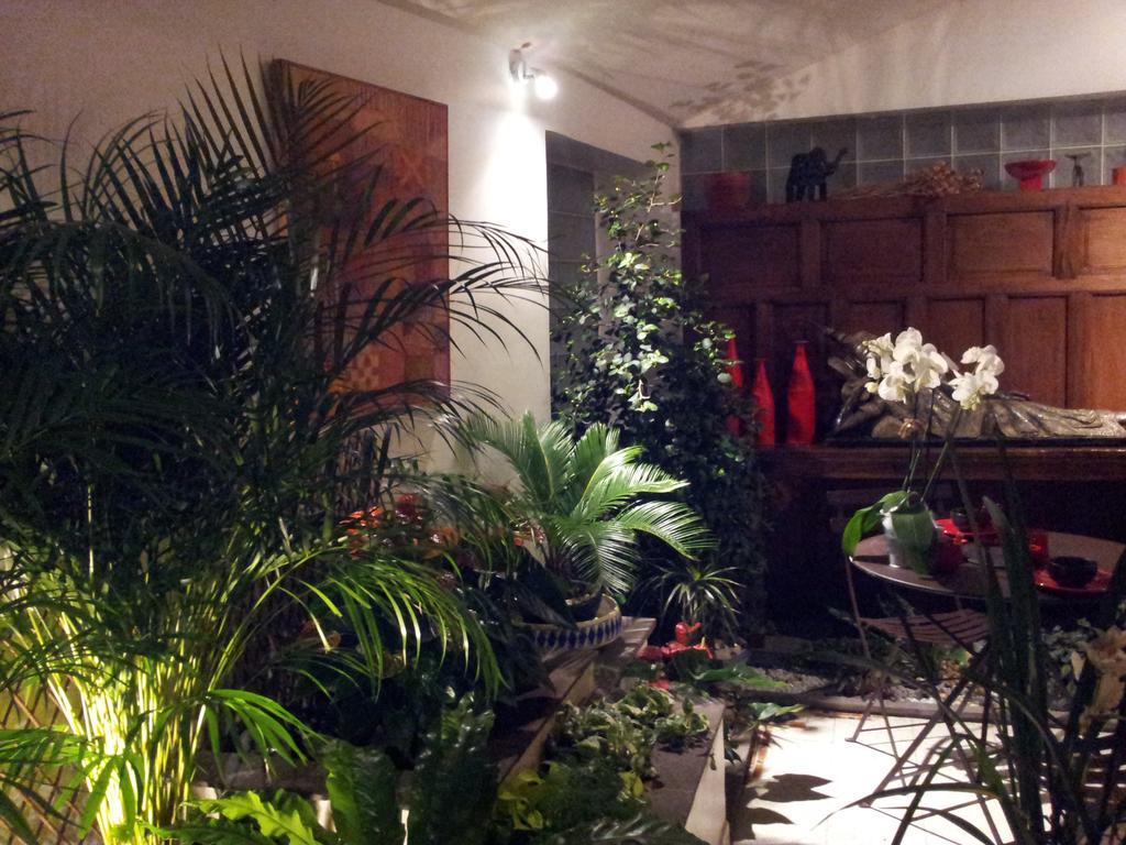 Chambres D'Hotes Le Petit Siam : Le Calme En Centre Ville Clermont-Ferrand Exteriör bild
